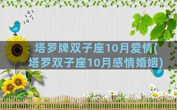 塔罗牌双子座10月爱情(塔罗双子座10月感情婚姻)