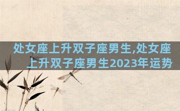 处女座上升双子座男生,处女座上升双子座男生2023年运势