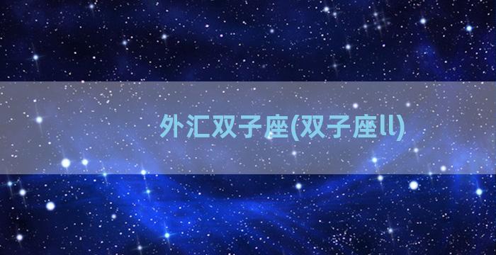 外汇双子座(双子座ll)