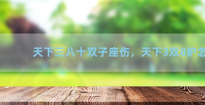 天下三八十双子座伤，天下3双8护怎么出