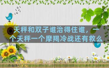 天秤和双子谁治得住谁，一个天秤一个摩羯冷战还有救么
