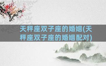 天秤座双子座的婚姻(天秤座双子座的婚姻配对)