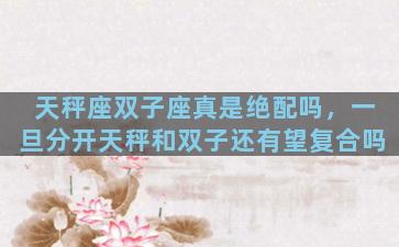 天秤座双子座真是绝配吗，一旦分开天秤和双子还有望复合吗