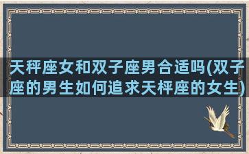 天秤座女和双子座男合适吗(双子座的男生如何追求天枰座的女生)