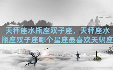 天秤座水瓶座双子座，天秤座水瓶座双子座哪个星座最喜欢天蝎座
