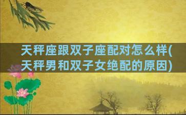 天秤座跟双子座配对怎么样(天秤男和双子女绝配的原因)