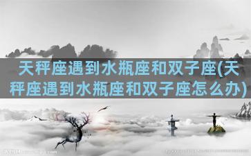 天秤座遇到水瓶座和双子座(天秤座遇到水瓶座和双子座怎么办)