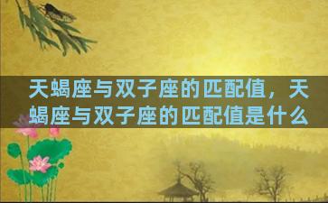 天蝎座与双子座的匹配值，天蝎座与双子座的匹配值是什么