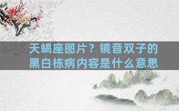 天蝎座图片？镜音双子的黑白栋病内容是什么意思