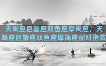 天蝎座巨蟹座双鱼座摩羯座，天蝎座巨蟹座双鱼座摩羯座配对指数