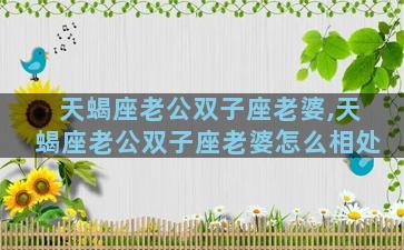 天蝎座老公双子座老婆,天蝎座老公双子座老婆怎么相处
