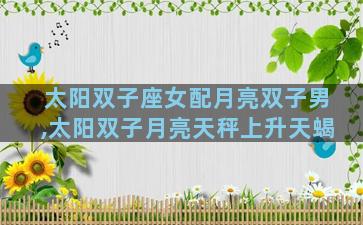 太阳双子座女配月亮双子男,太阳双子月亮天秤上升天蝎