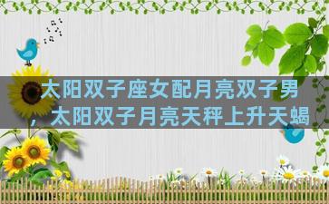太阳双子座女配月亮双子男，太阳双子月亮天秤上升天蝎
