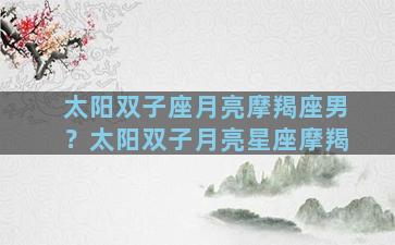 太阳双子座月亮摩羯座男？太阳双子月亮星座摩羯