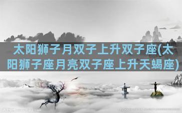 太阳狮子月双子上升双子座(太阳狮子座月亮双子座上升天蝎座)
