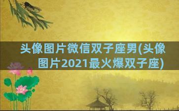 头像图片微信双子座男(头像图片2021最火爆双子座)