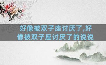 好像被双子座讨厌了,好像被双子座讨厌了的说说