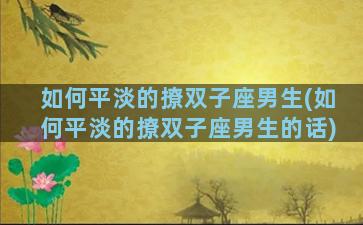 如何平淡的撩双子座男生(如何平淡的撩双子座男生的话)