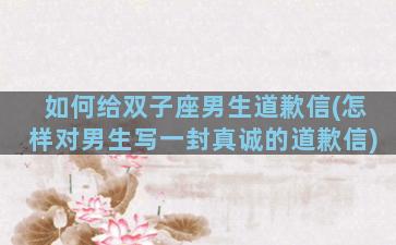 如何给双子座男生道歉信(怎样对男生写一封真诚的道歉信)