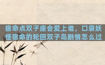 宿命点双子座会爱上谁，口袋妖怪宿命的轮回双子岛剧情怎么过