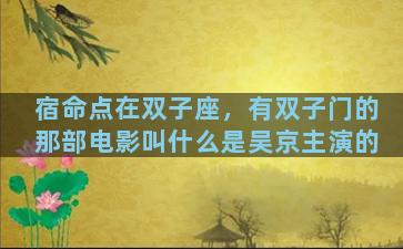 宿命点在双子座，有双子门的那部电影叫什么是吴京主演的