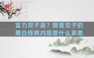 富力双子座？镜音双子的黑白栋病内容是什么意思