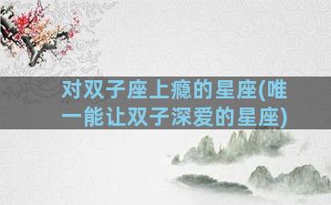 对双子座上瘾的星座(唯一能让双子深爱的星座)