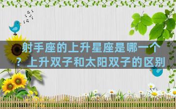 射手座的上升星座是哪一个？上升双子和太阳双子的区别