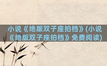 小说《绝版双子座拍档》(小说《绝版双子座拍档》免费阅读)