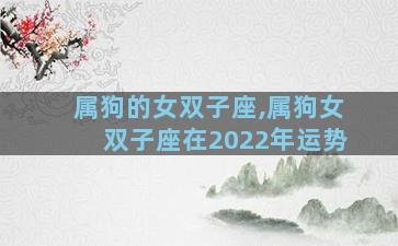属狗的女双子座,属狗女双子座在2022年运势
