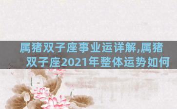 属猪双子座事业运详解,属猪双子座2021年整体运势如何