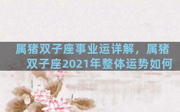 属猪双子座事业运详解，属猪双子座2021年整体运势如何