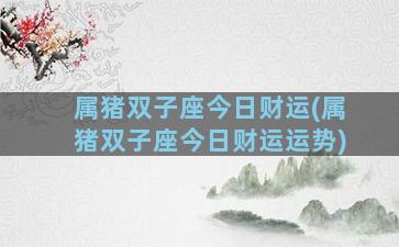 属猪双子座今日财运(属猪双子座今日财运运势)