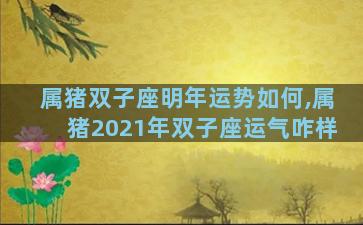 属猪双子座明年运势如何,属猪2021年双子座运气咋样