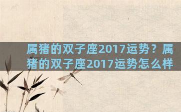 属猪的双子座2017运势？属猪的双子座2017运势怎么样