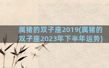 属猪的双子座2019(属猪的双子座2023年下半年运势)