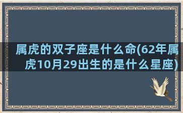 属虎的双子座是什么命(62年属虎10月29出生的是什么星座)