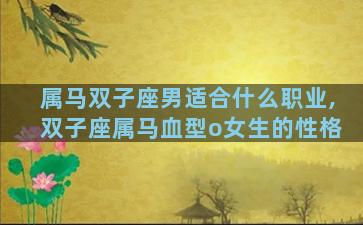 属马双子座男适合什么职业,双子座属马血型o女生的性格