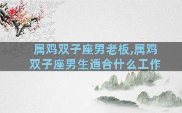 属鸡双子座男老板,属鸡双子座男生适合什么工作