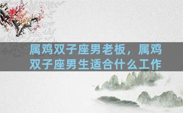 属鸡双子座男老板，属鸡双子座男生适合什么工作