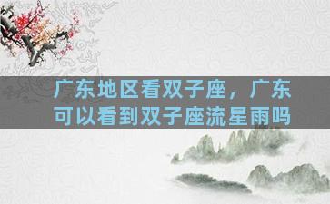 广东地区看双子座，广东可以看到双子座流星雨吗