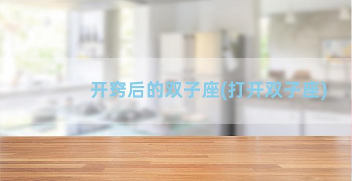 开窍后的双子座(打开双子座)
