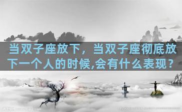当双子座放下，当双子座彻底放下一个人的时候,会有什么表现？