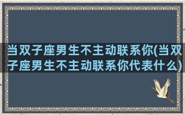 当双子座男生不主动联系你(当双子座男生不主动联系你代表什么)