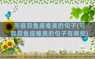形容双鱼座唯美的句子(形容双鱼座唯美的句子有哪些)
