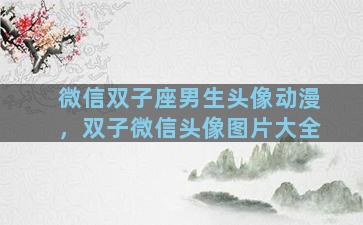 微信双子座男生头像动漫，双子微信头像图片大全