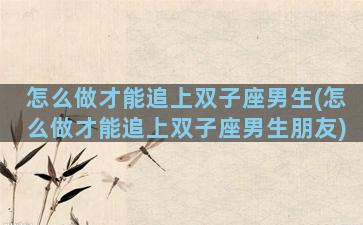 怎么做才能追上双子座男生(怎么做才能追上双子座男生朋友)