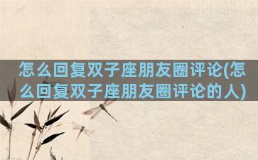 怎么回复双子座朋友圈评论(怎么回复双子座朋友圈评论的人)