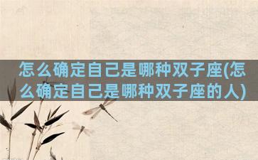 怎么确定自己是哪种双子座(怎么确定自己是哪种双子座的人)