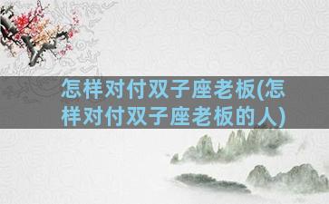 怎样对付双子座老板(怎样对付双子座老板的人)